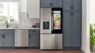 Bottom Freezer Refrigerators